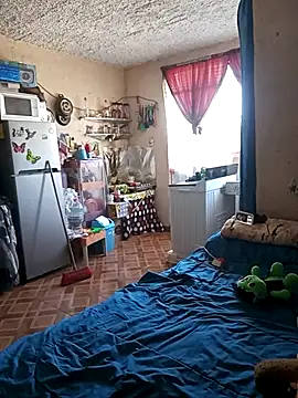 mexosito27 webcam