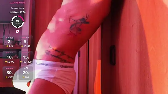 josemeirelesfox webcam