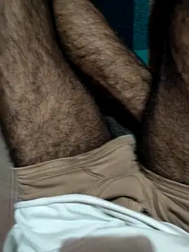 cocktony webcam