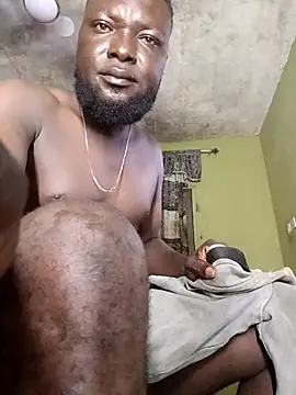 Freedomvim webcam
