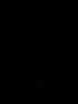 KiranTheBull webcam