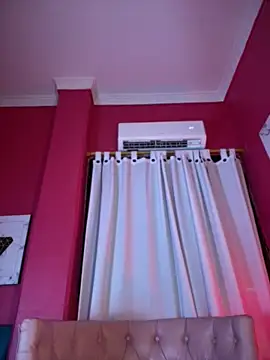 DemiSins webcam