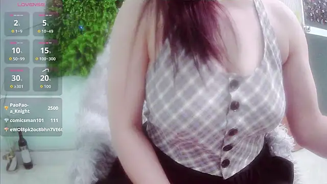 Yii-Ser webcam