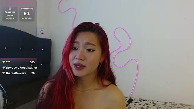 sloppy_cat webcam