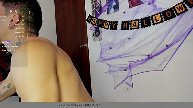 Savajelust webcam