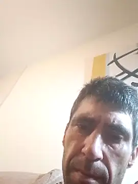 Pollon34- webcam