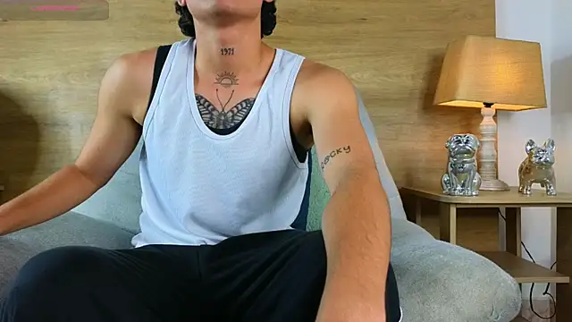 Stiven_Benet_ webcam