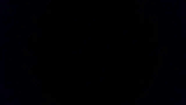 turkishTransEfsun webcam