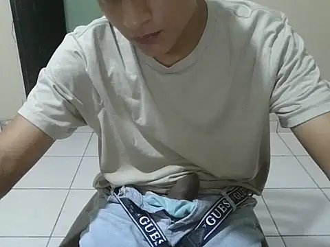 coppel webcam