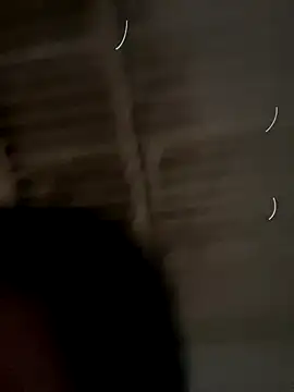 DELI- webcam
