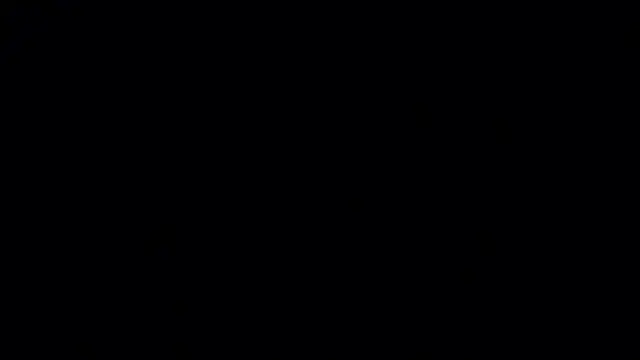 FalineBeacher webcam