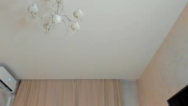 GenevaArton webcam