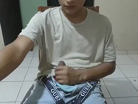 coppel webcam