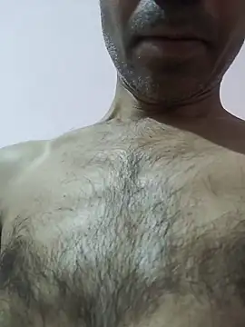 india_cobra webcam