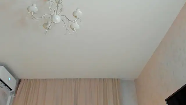 GenevaArton webcam
