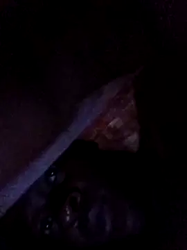 lilpip webcam