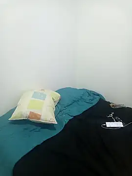 Kingbigcock23cm webcam