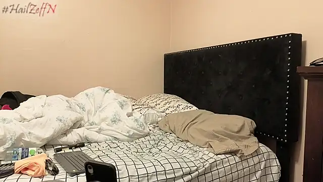 hailzeffn webcam