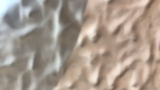 amelia_hall