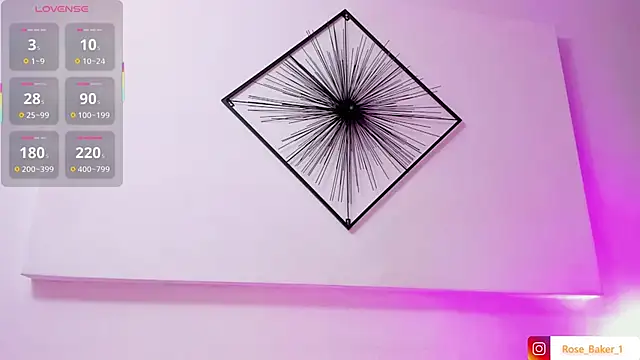 Rose_baker_ webcam