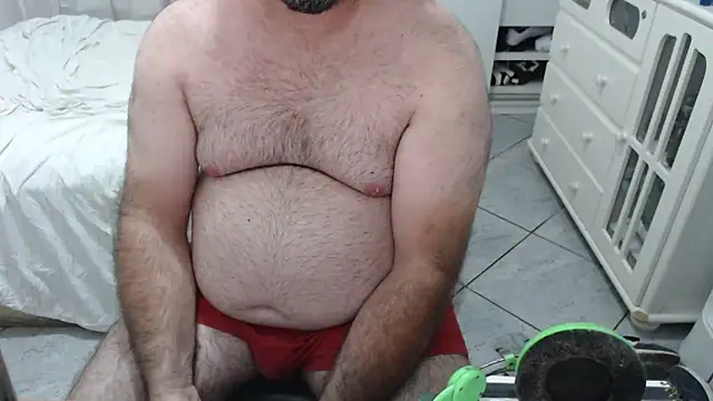 MysterBearMG webcam