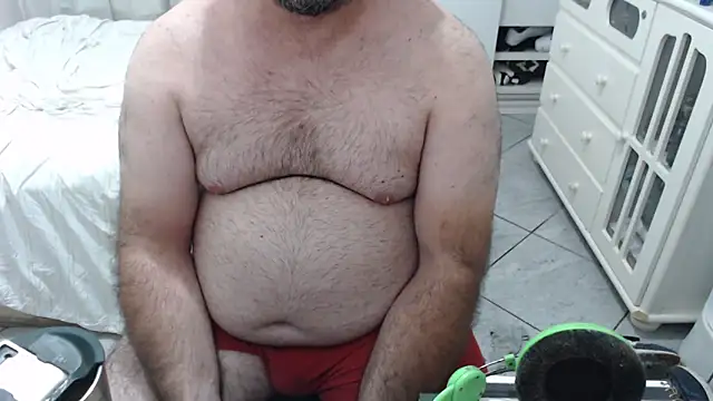 MysterBearMG webcam