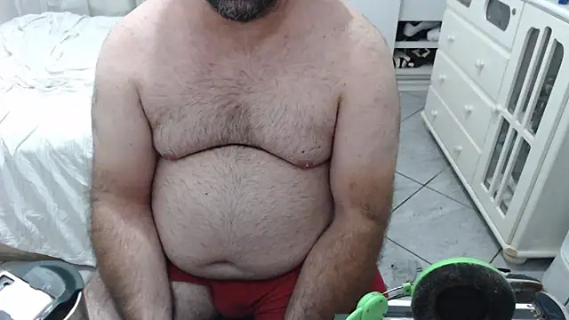 MysterBearMG webcam