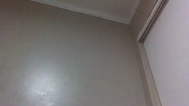 ReallyReallyReal webcam
