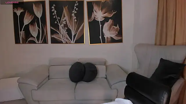 LaurentConnor webcam