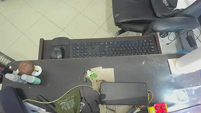 corzoethan webcam