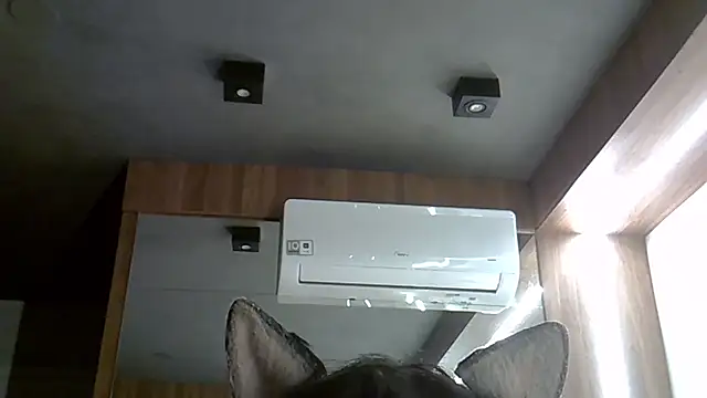 SkinnyKitten webcam