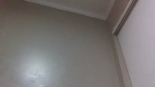 ReallyReallyReal webcam