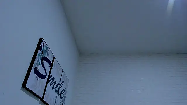 soytania webcam