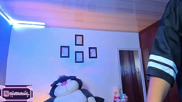 milita_houston webcam