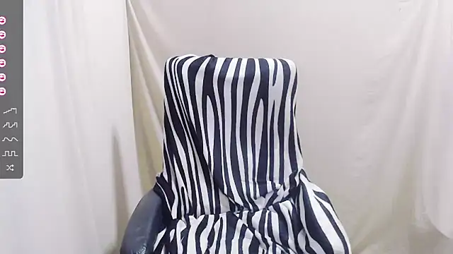 AkinLocal webcam