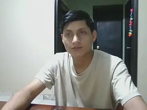 coppel webcam