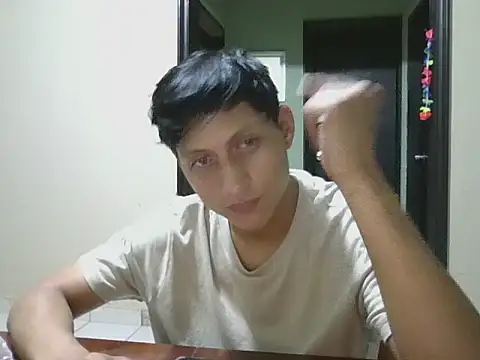 coppel webcam