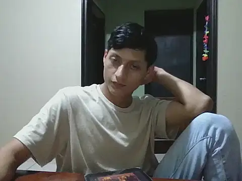 coppel webcam