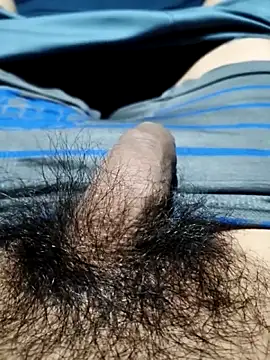 Aaia93 webcam