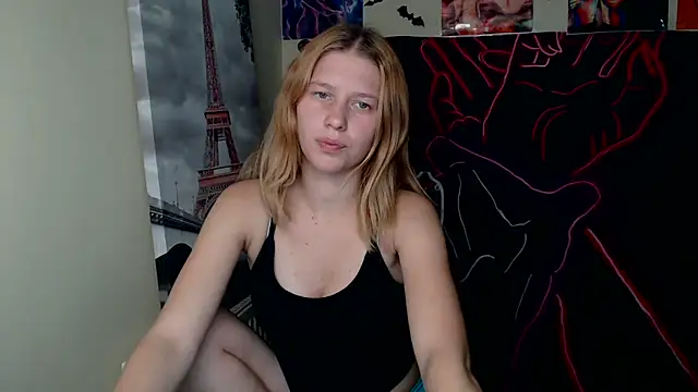 StellaCRL webcam