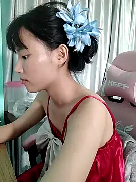 Ly-ny webcam