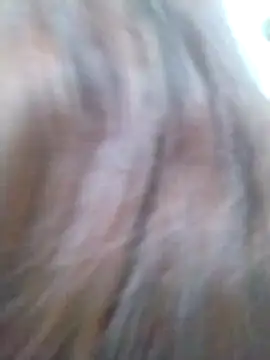 _Alaskamisa