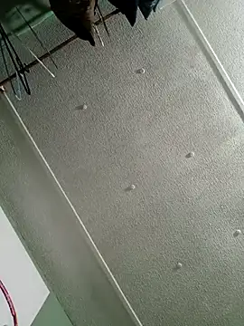 Penelargo1233r webcam