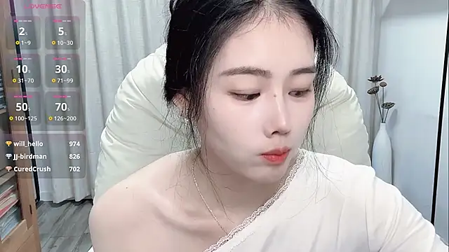XFDLL-BAOBEI webcam