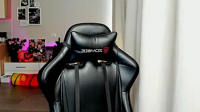 Sm0ly webcam