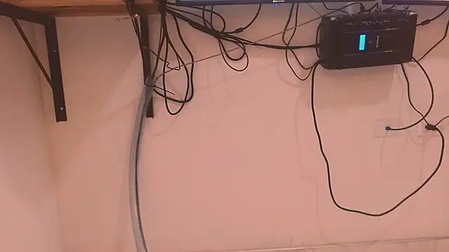 meisevil77 webcam