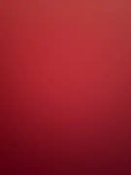 Lisa-kk webcam