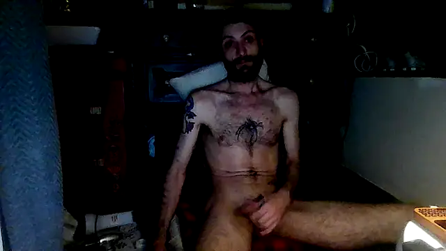 HarmoniousPhantasm3 webcam