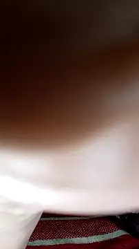 trans511 webcam