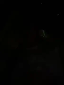 TrangNemo webcam